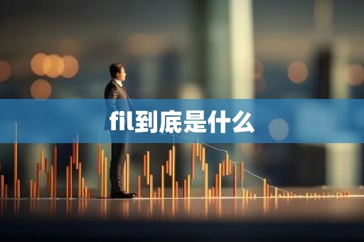 fil到底是什么