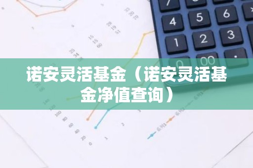 诺安灵活基金（诺安灵活基金净值查询）