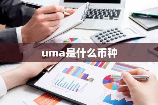 uma是什么币种