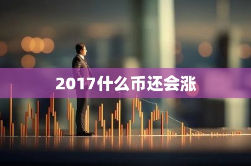 2017什么币还会涨