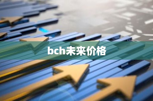 bch未来价格