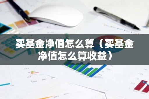 买基金净值怎么算（买基金净值怎么算收益）
