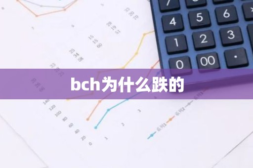 bch为什么跌的
