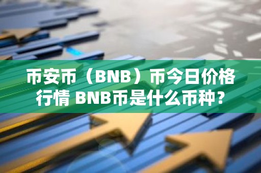 币安币（BNB）币今日价格行情 BNB币是什么币种？
