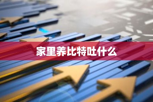 家里养比特吐什么