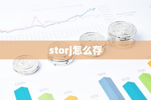 storj怎么存