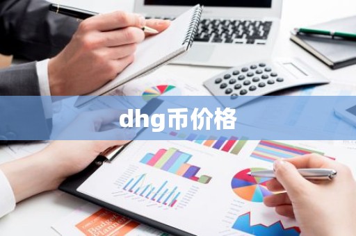 dhg币价格