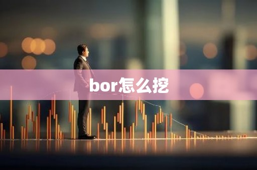 bor怎么挖