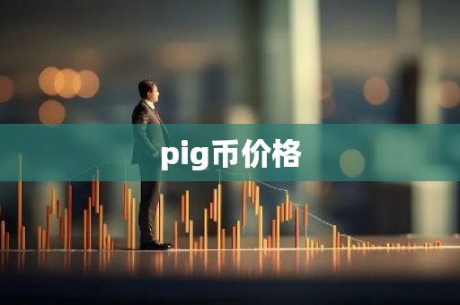 pig币价格