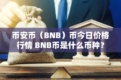 币安币（BNB）币今日价格行情 BNB币是什么币种？
