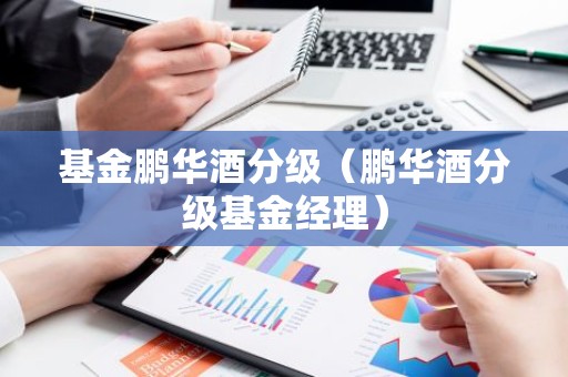 基金鹏华酒分级（鹏华酒分级基金经理）