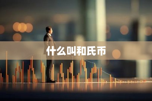 什么叫和氏币