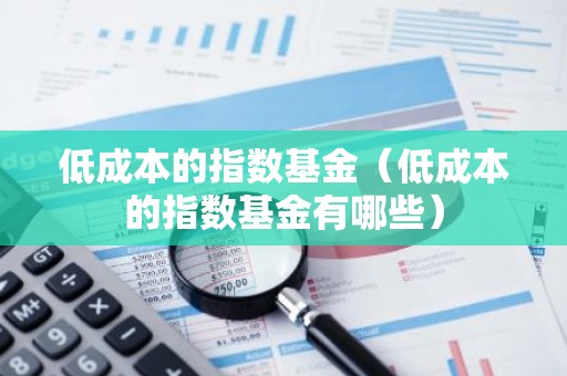 低成本的指数基金（低成本的指数基金有哪些）