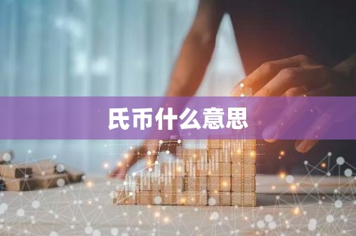 氏币什么意思