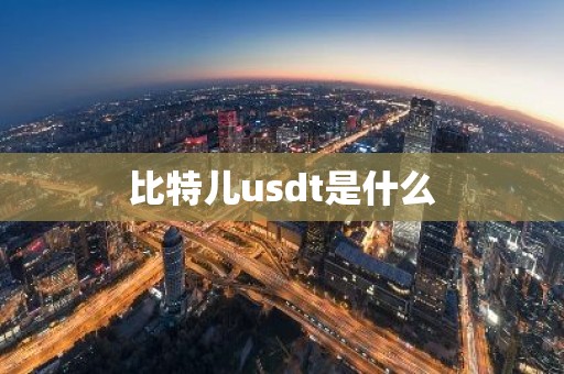 比特儿usdt是什么