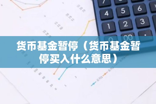 货币基金暂停（货币基金暂停买入什么意思）