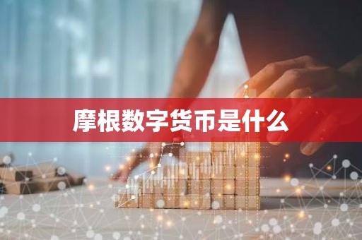 摩根数字货币是什么