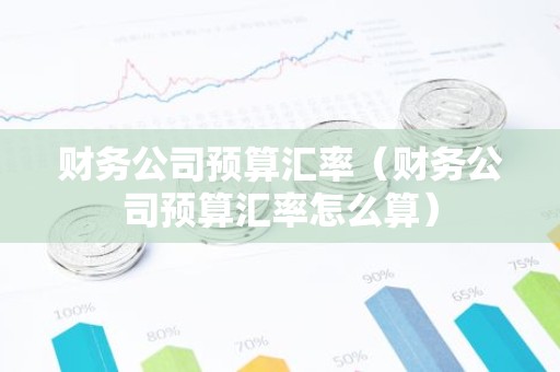 财务公司预算汇率（财务公司预算汇率怎么算）