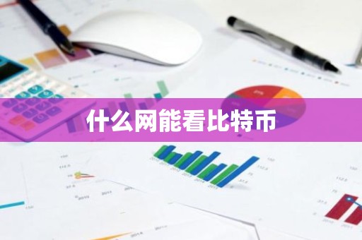什么网能看比特币