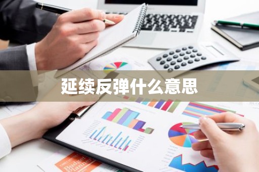 延续反弹什么意思