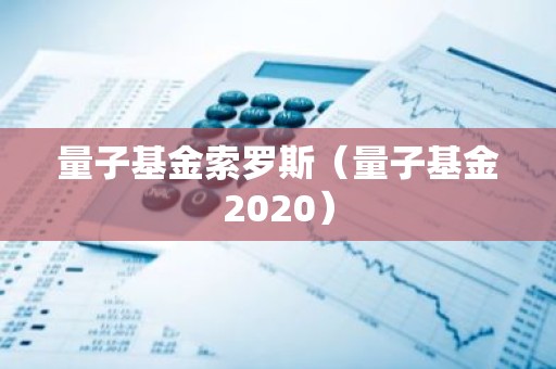 量子基金索罗斯（量子基金2020）