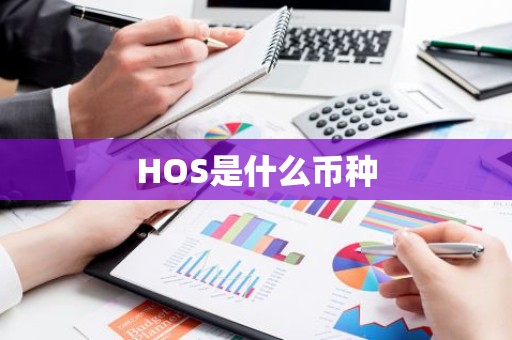 HOS是什么币种