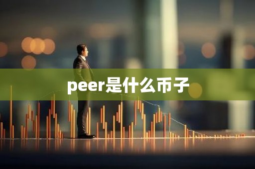 peer是什么币子