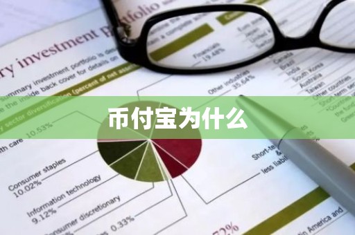 币付宝为什么