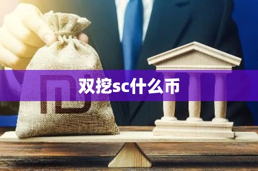 双挖sc什么币