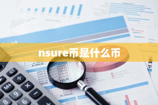 nsure币是什么币