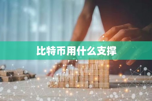 比特币用什么支撑