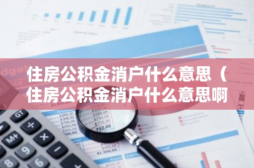 住房公积金消户什么意思（住房公积金消户什么意思啊）