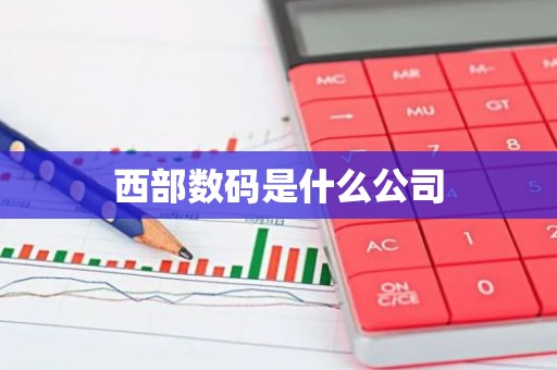 西部数码是什么公司