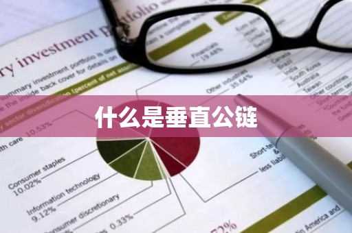 什么是垂直公链