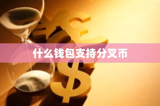 什么钱包支持分叉币
