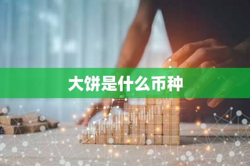 大饼是什么币种