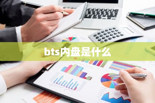 bts内盘是什么