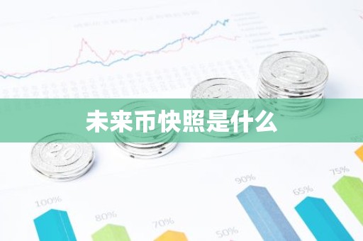 未来币快照是什么