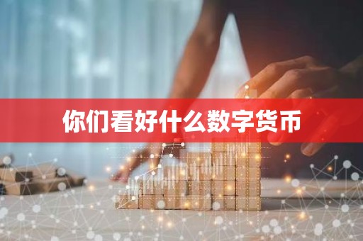 你们看好什么数字货币