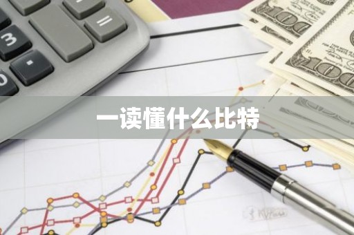 一读懂什么比特