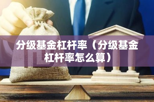 分级基金杠杆率（分级基金杠杆率怎么算）