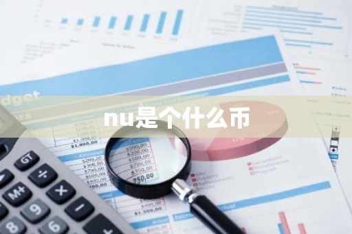 nu是个什么币