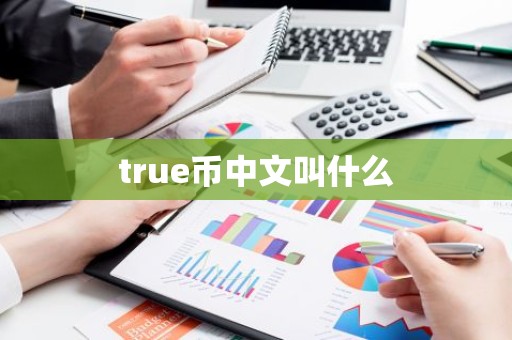 true币中文叫什么