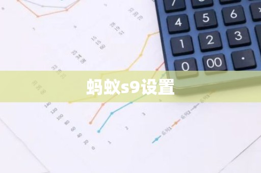 蚂蚁s9设置