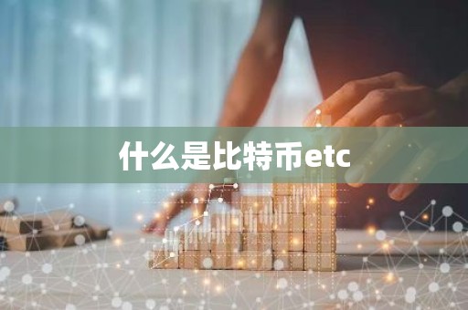 什么是比特币etc