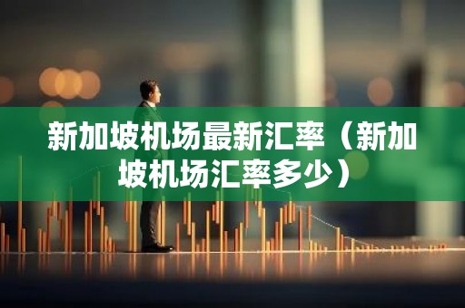 新加坡机场最新汇率（新加坡机场汇率多少）