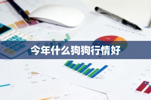 今年什么狗狗行情好