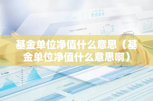 基金单位净值什么意思（基金单位净值什么意思啊）