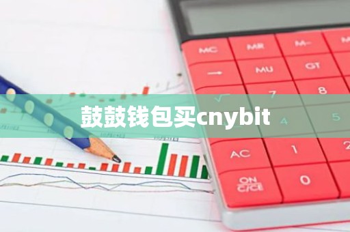 鼓鼓钱包买cnybit