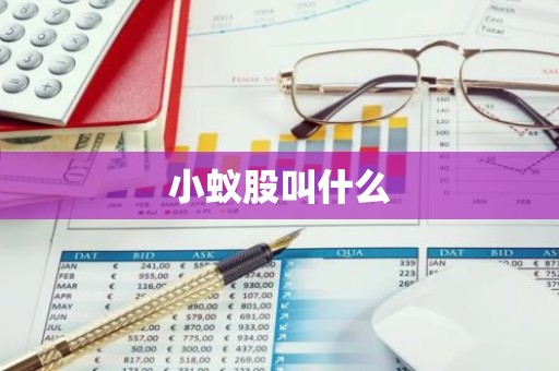 小蚁股叫什么